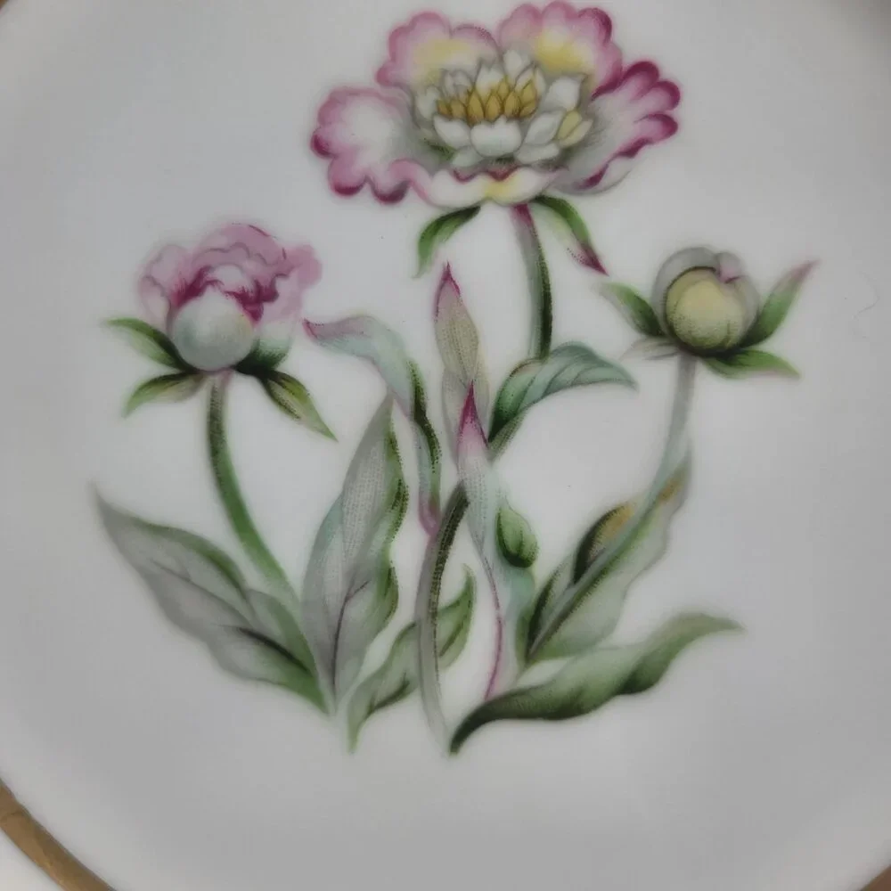 FOUR Mikado Harmony Coupe Soup Bowls Cream Rim Pink Floral Center